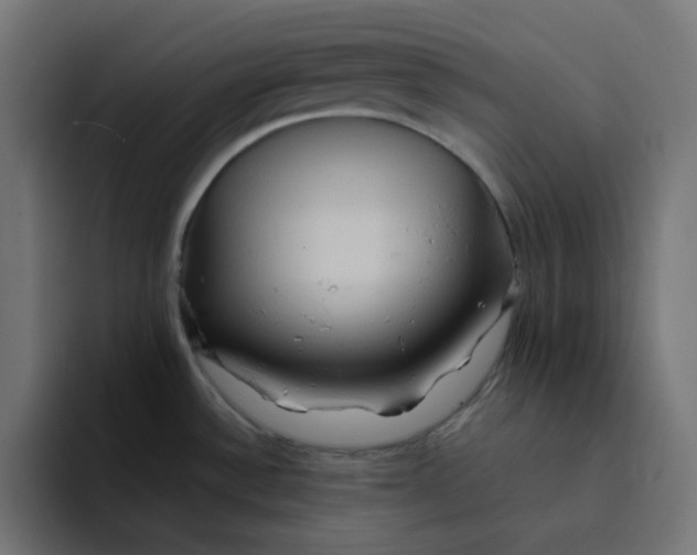 X0000094171532200711161658