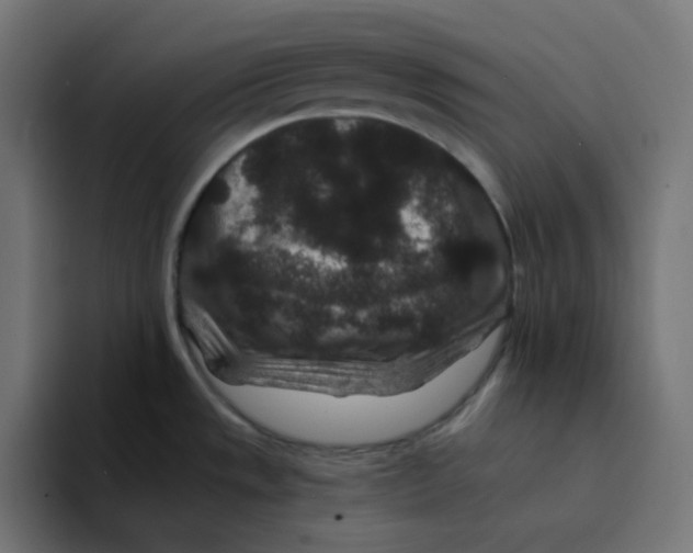 X0000094171533200711161658