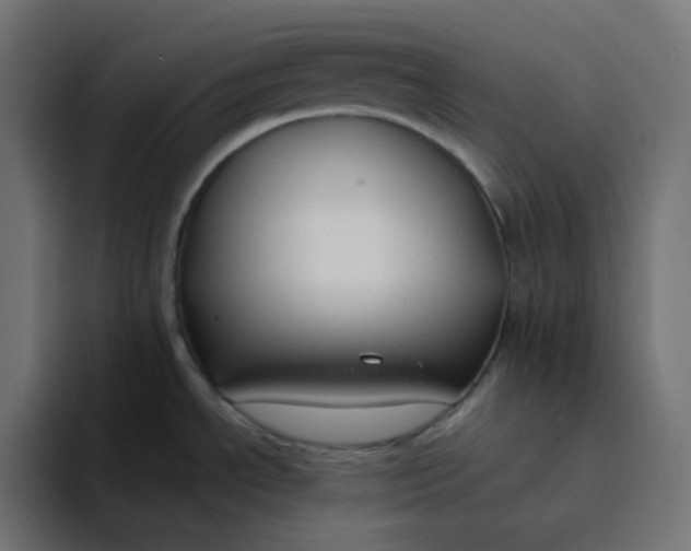 X0000094171534200711161658