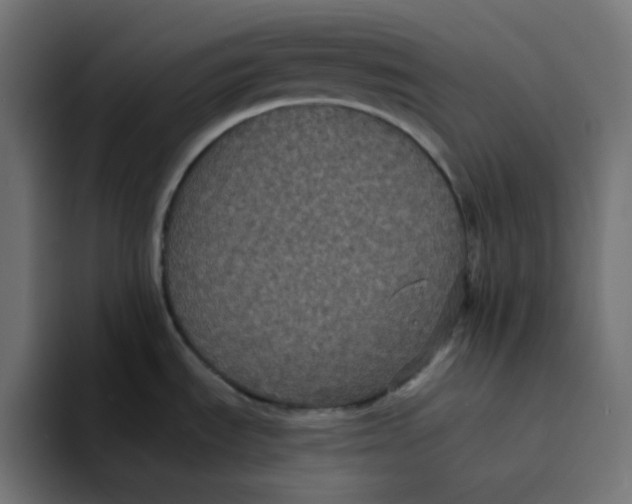 X0000094171535200711161658