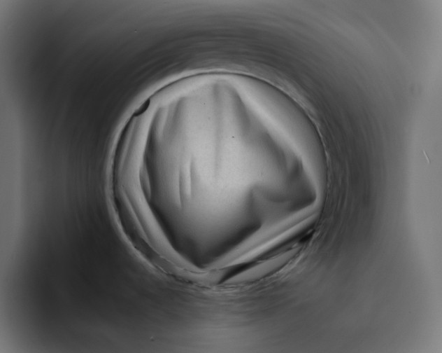 X0000094171536200711161658