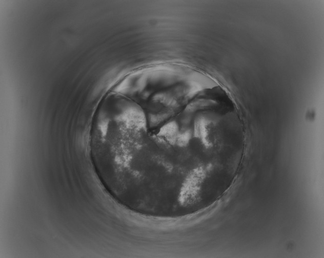 X0000094170002200711241540