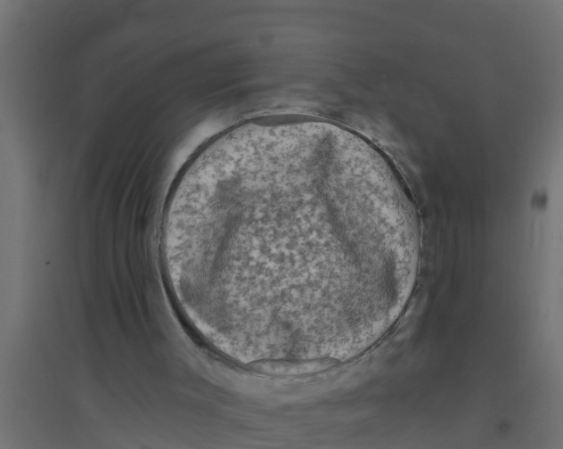X0000094170003200711241540