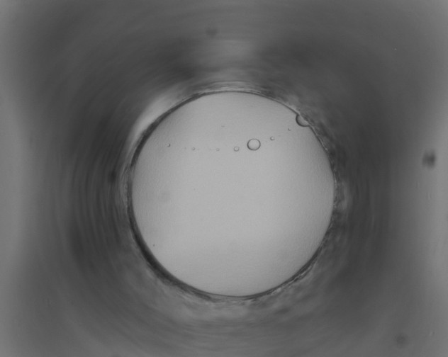 X0000094170004200711241540
