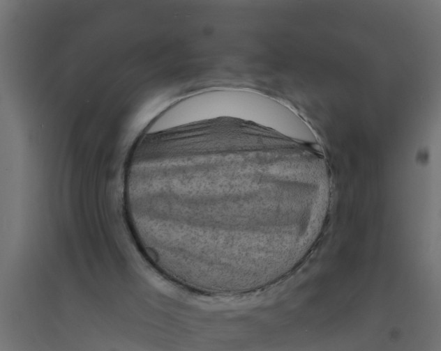 X0000094170005200711241540
