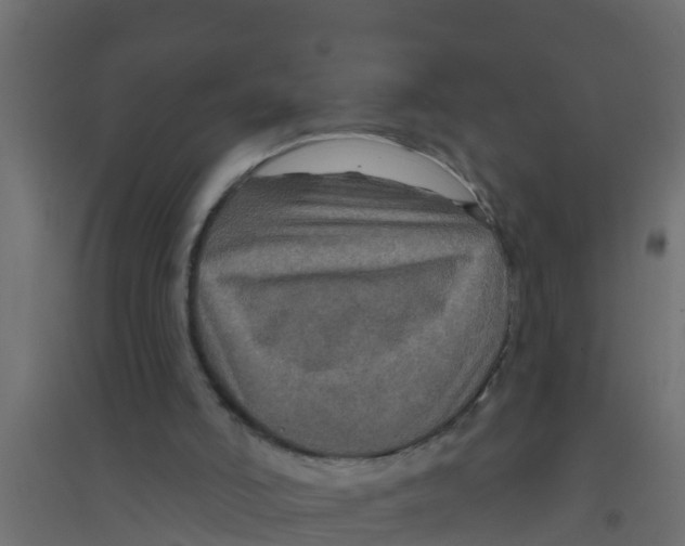 X0000094170006200711241540