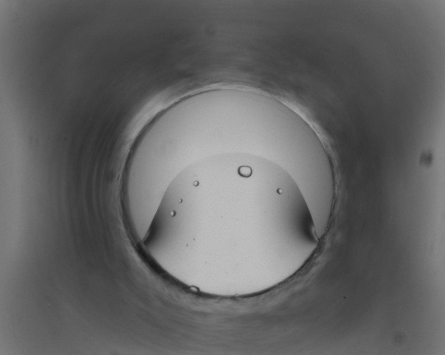 X0000094170007200711241540