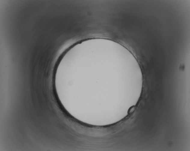 X0000094170008200711241540