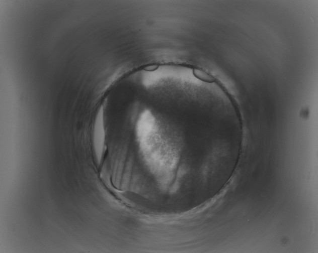 X0000094170009200711241540