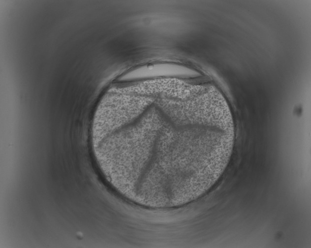 X0000094170010200711241540