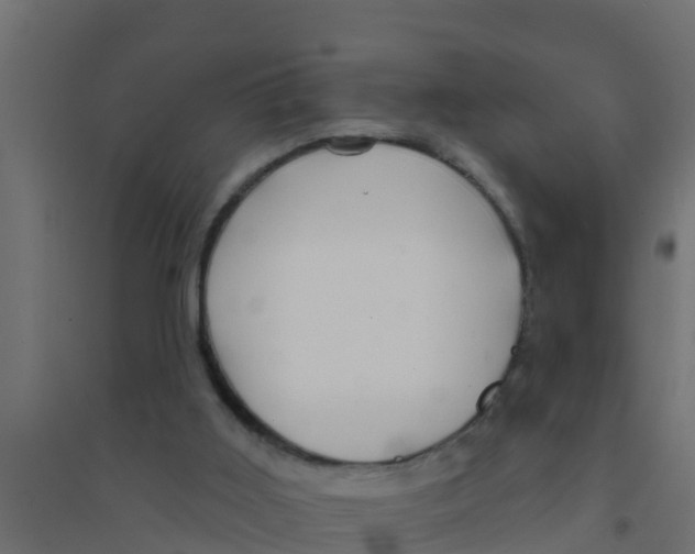 X0000094170011200711241540