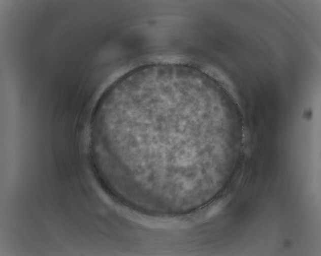X0000094170012200711241540