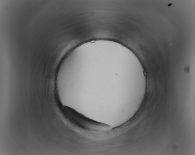 X0000094170015200711241540