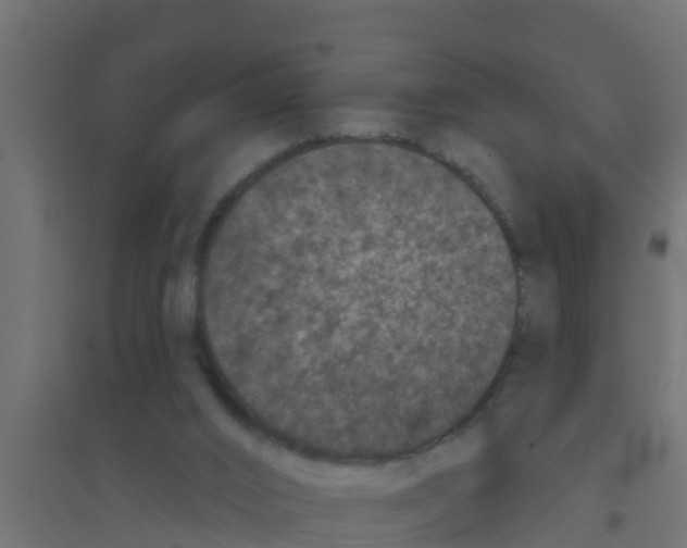 X0000094170016200711241540