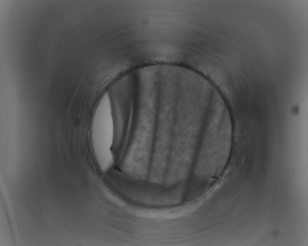 X0000094170017200711241540
