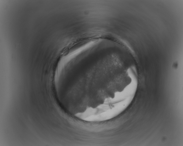 X0000094170018200711241540