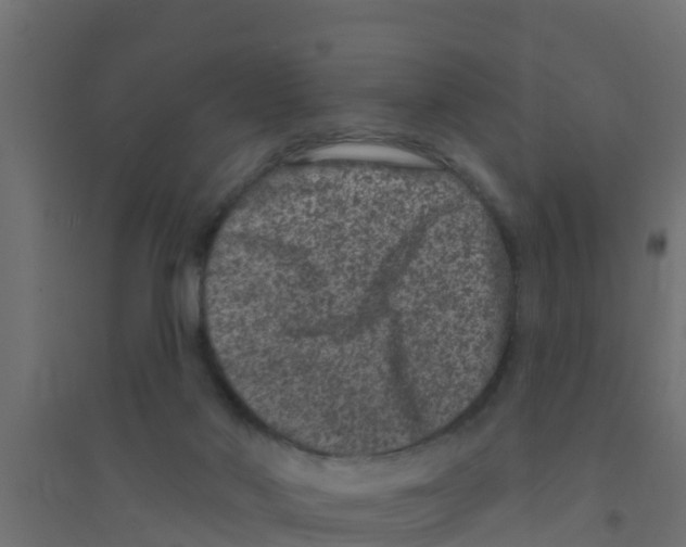 X0000094170022200711241540