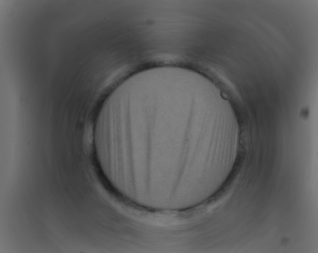 X0000094170024200711241540