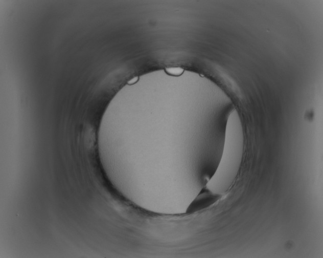 X0000094170025200711241540