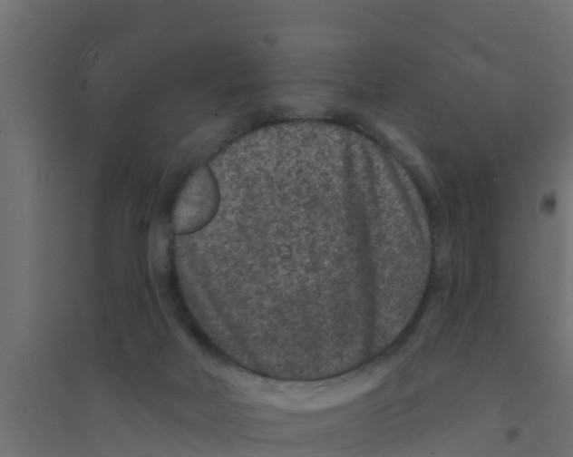 X0000094170026200711241540