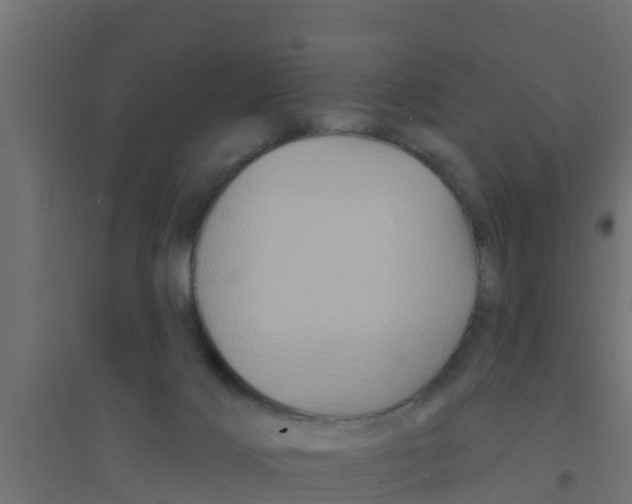 X0000094170028200711241540