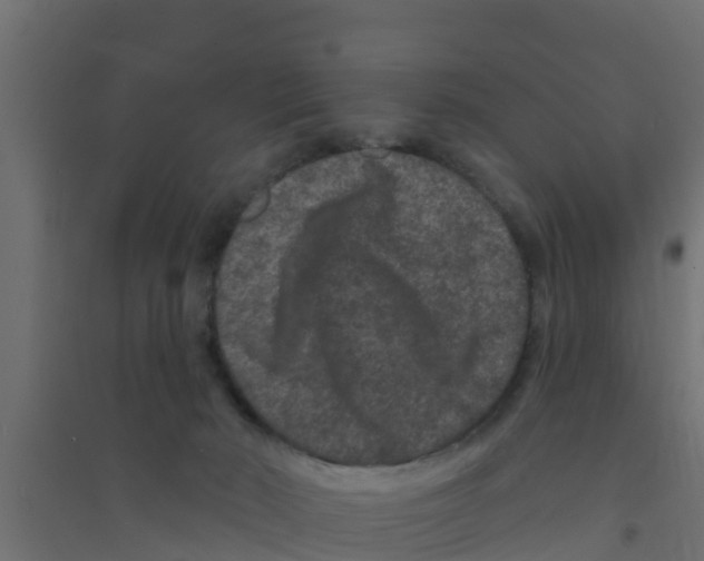 X0000094170030200711241540