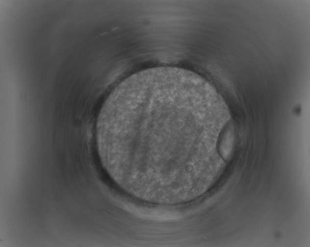 X0000094170032200711241540