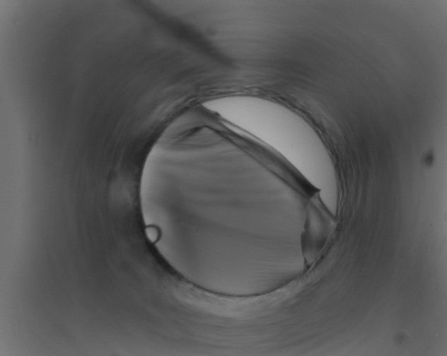 X0000094170035200711241540