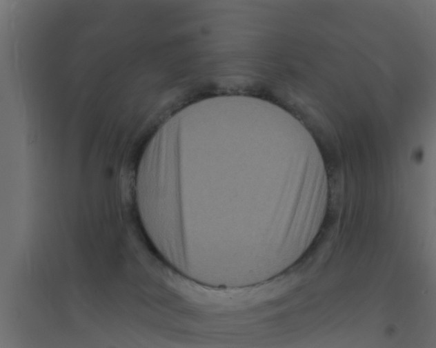 X0000094170038200711241540