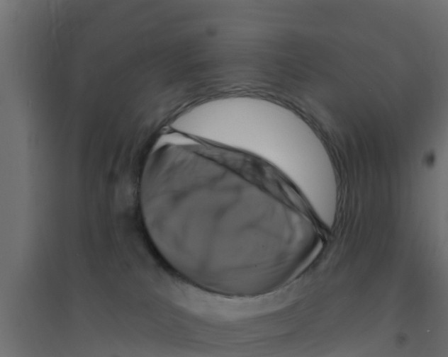 X0000094170039200711241540