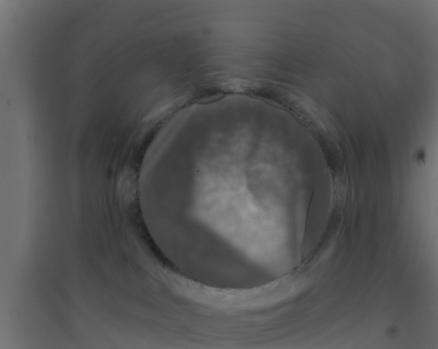 X0000094170043200711241540