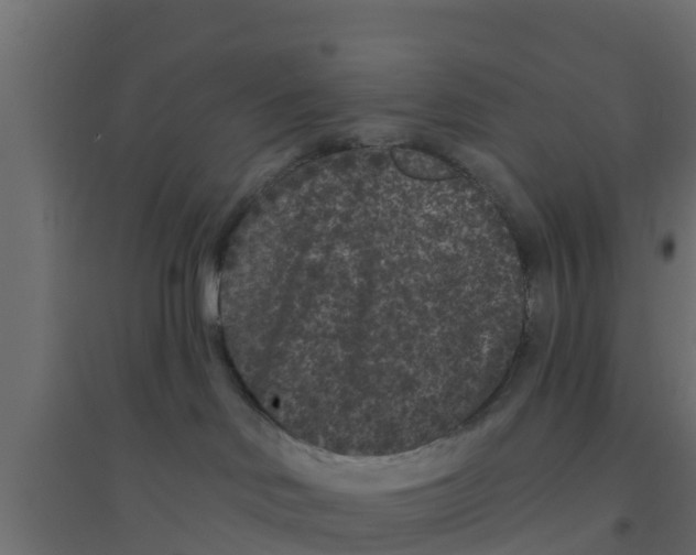 X0000094170046200711241540