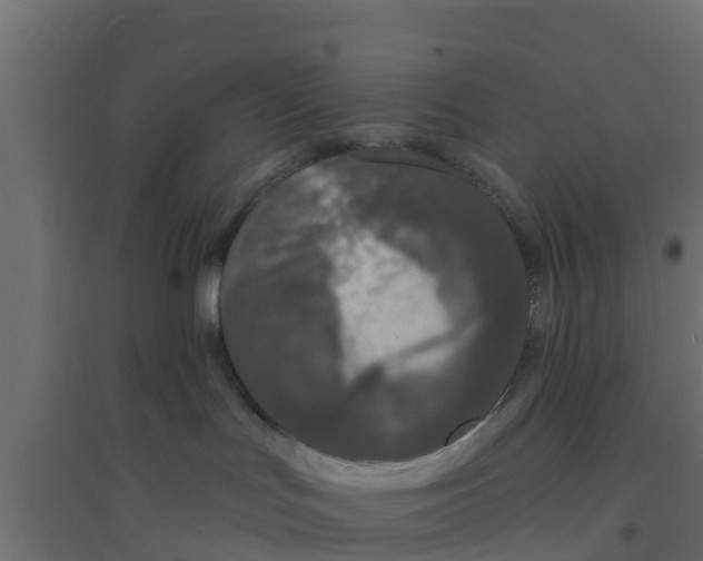 X0000094170047200711241540
