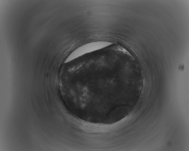 X0000094170048200711241540