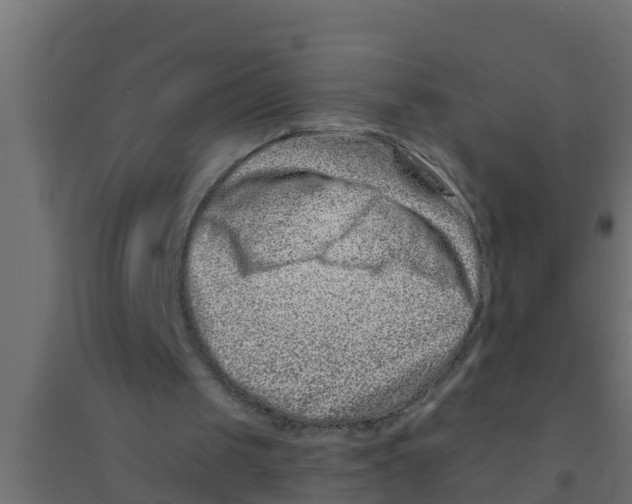 X0000094170049200711241539