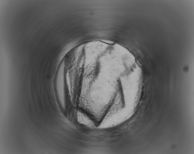X0000094170051200711241539