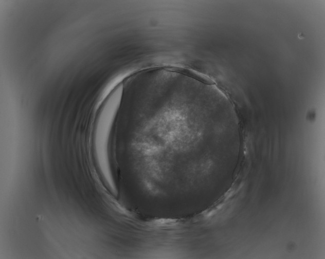 X0000094170052200711241539