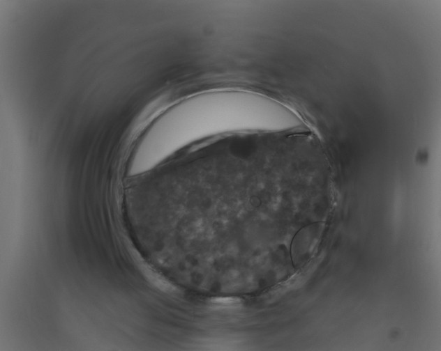 X0000094170053200711241539