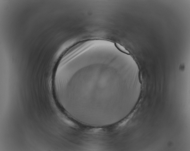 X0000094170054200711241539