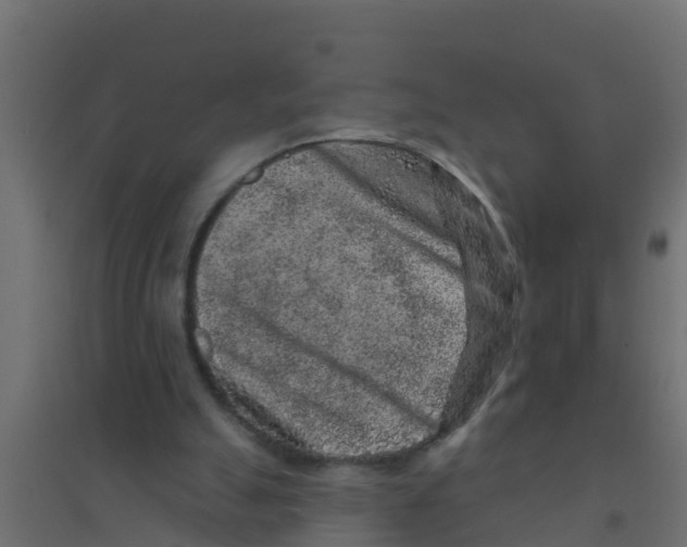 X0000094170055200711241539