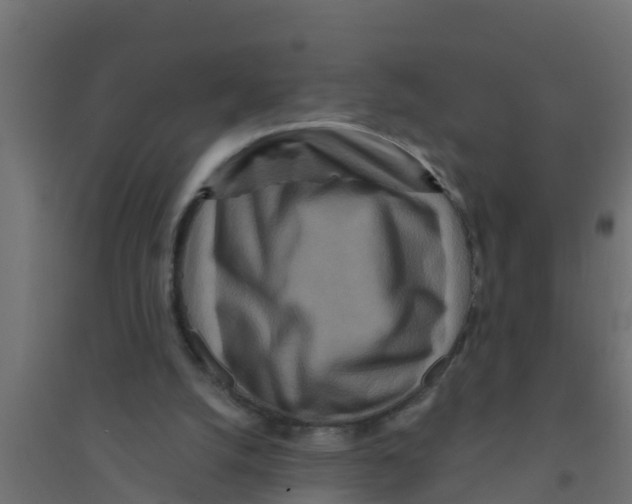 X0000094170056200711241539