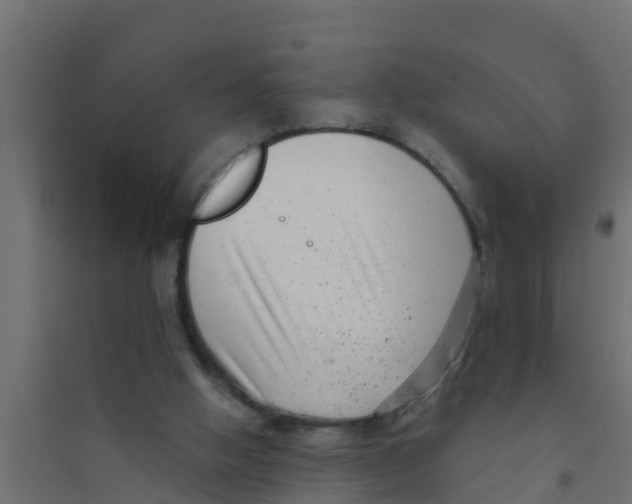 X0000094170058200711241539