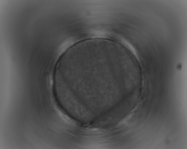 X0000094170059200711241539