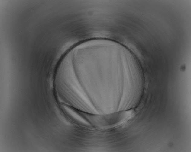 X0000094170060200711241539