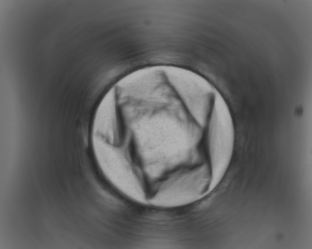 X0000094170062200711241539