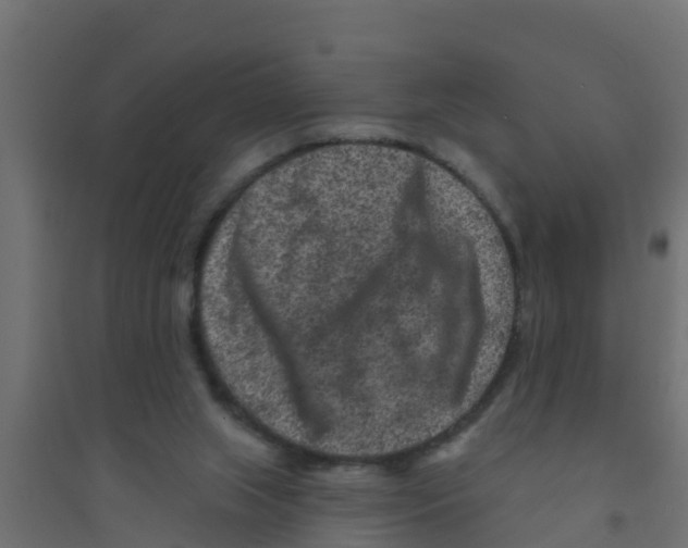 X0000094170063200711241539