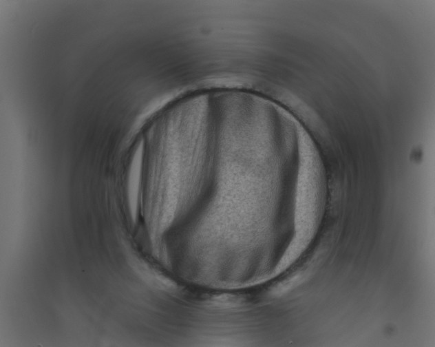 X0000094170064200711241539