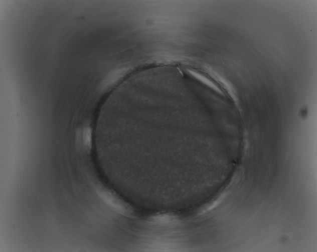 X0000094170067200711241539