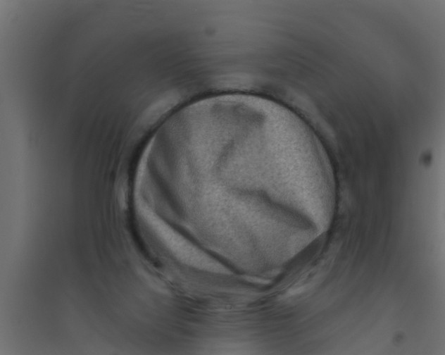 X0000094170068200711241539
