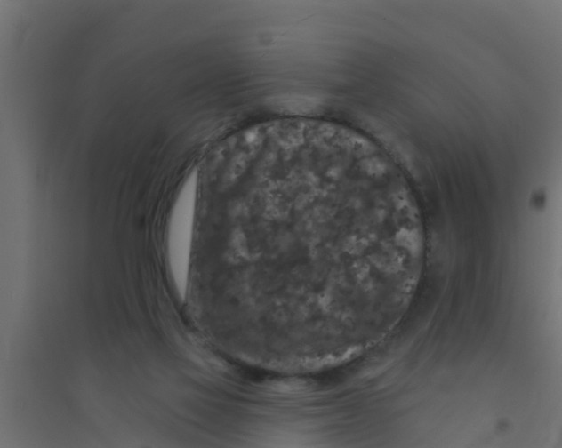 X0000094170069200711241539